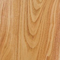 Honey Locust Honey Locust