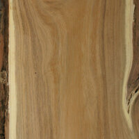 Robinia light Robinia light