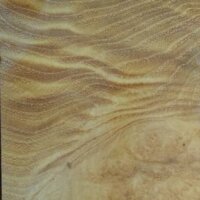 Robinia is curly Robinia is curly