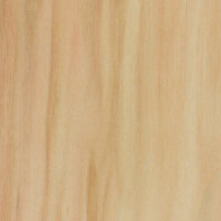box elder