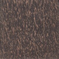 black-palm